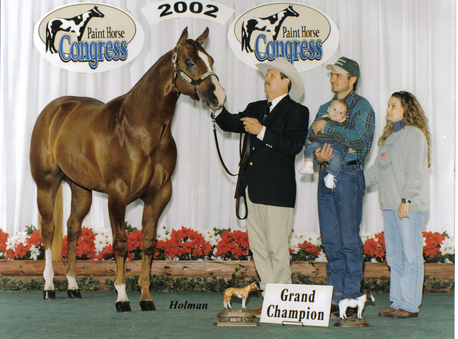Cool and Connected - Grand CHampion
