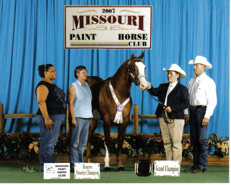 amos mo futurity